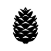 Vitrual Internship Tools Logo (33)